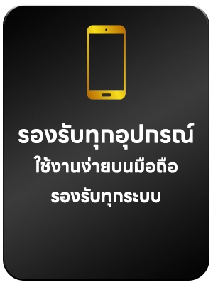 รองรับทุกระบบ