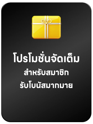 โปรโมชั่น
